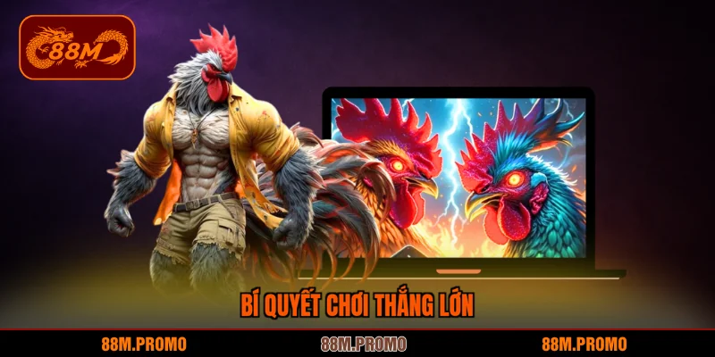 Bí quyết chơi thắng lớn