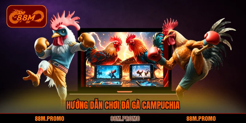 Hướng dẫn chơi đá gà Campuchia