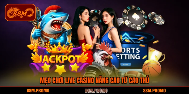 Mẹo chơi live casino nâng cao từ cao thủ